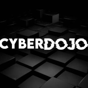 CyberDojo - Image 2